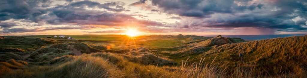 The Future of Narratives in a Connected World